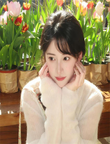 音乐片文化解读：《聪明的鸭子》的叙事结构与视觉语言 ——音乐片的专业鉴赏